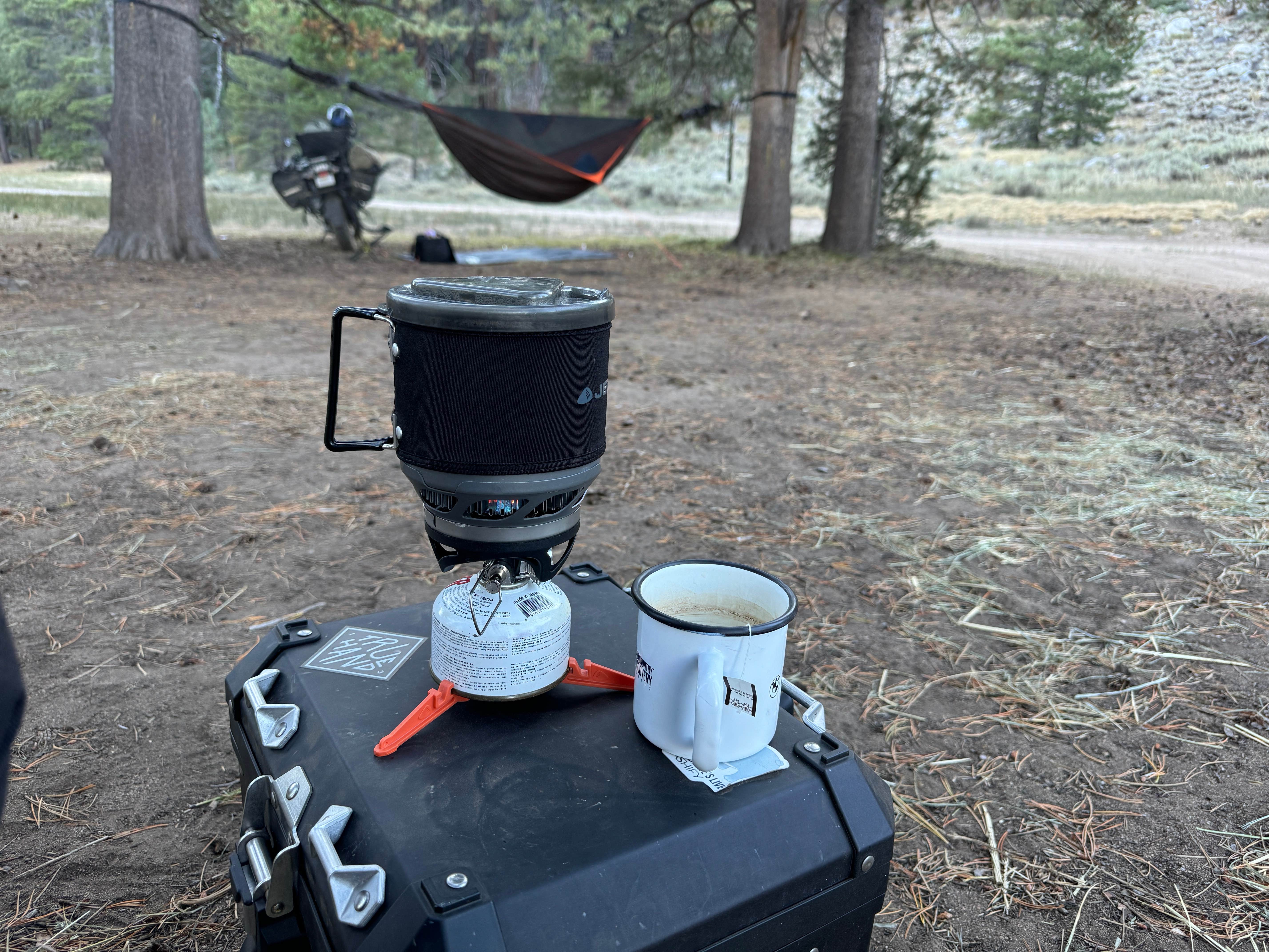 Camper submitted image from Scotts Lake Rd Dispersed Camping - 5
