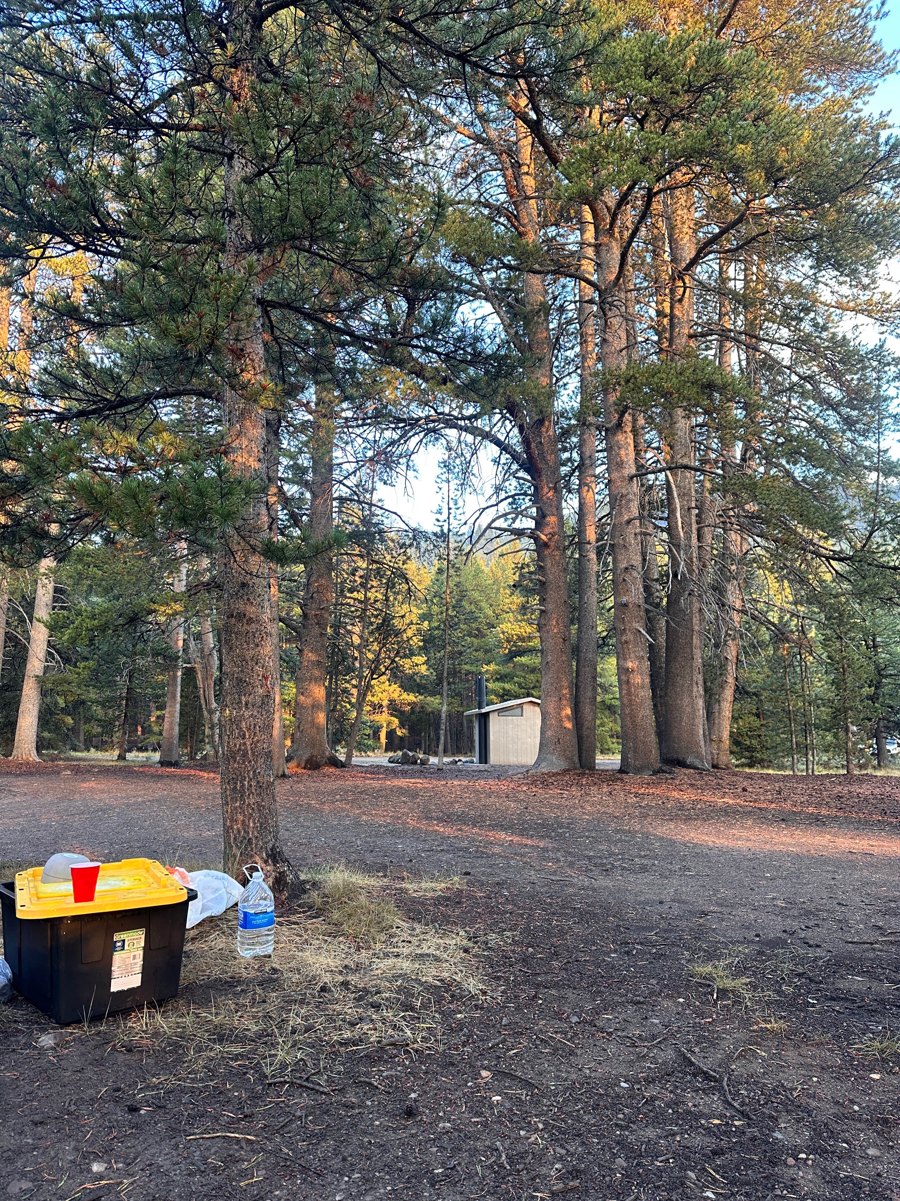 Camper-submitted photo at Scotts Lake Rd Dispersed Camping near Eldorado National Forest