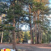 Review photo of Scotts Lake Rd Dispersed Camping by Rajesh N., August 26, 2025