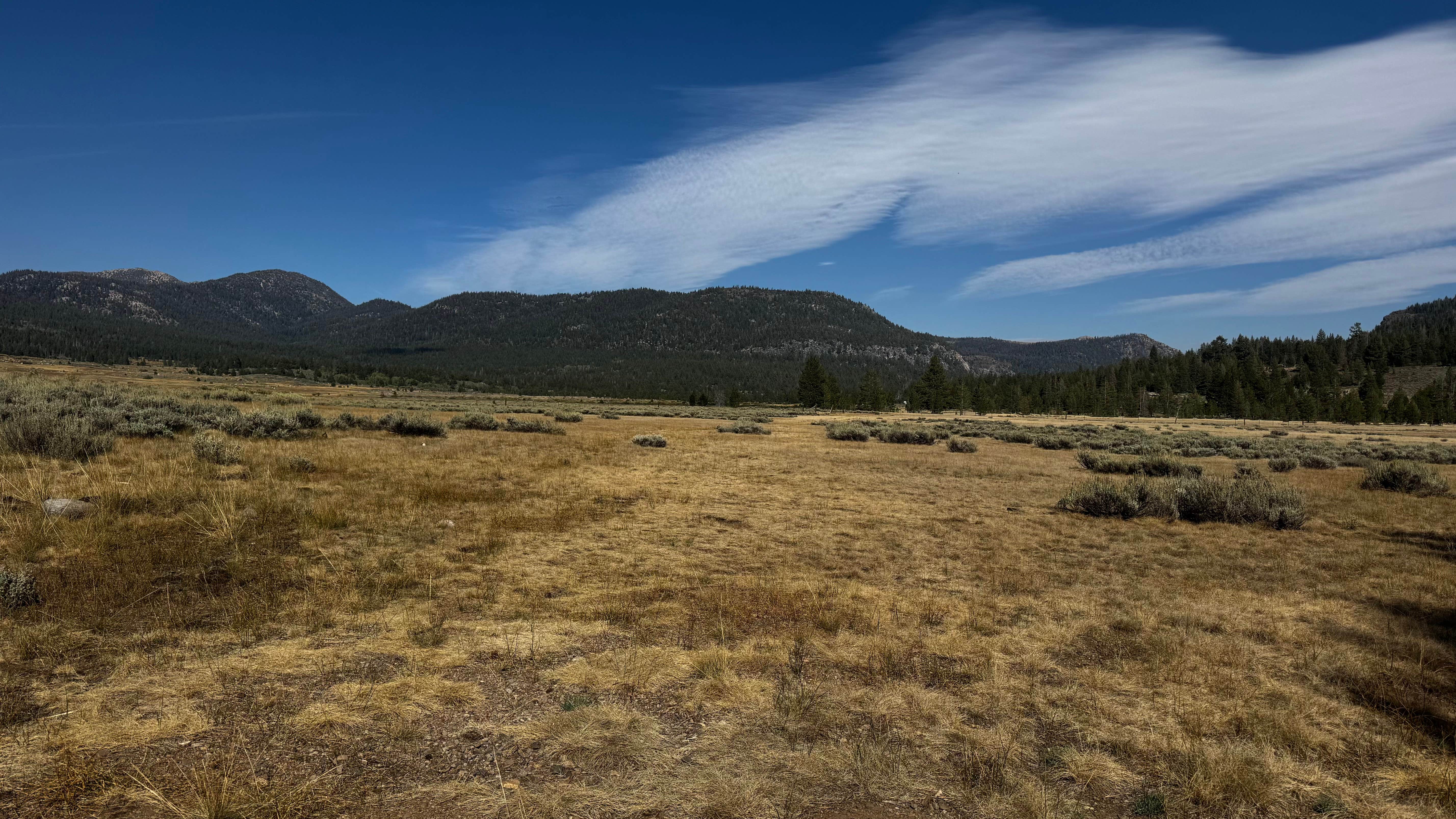 Camper-submitted photo at Scotts Lake Rd Dispersed Camping near Fort Jones, CA