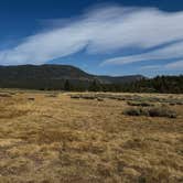 Review photo of Scotts Lake Rd Dispersed Camping by Victoria S., September 11, 2025