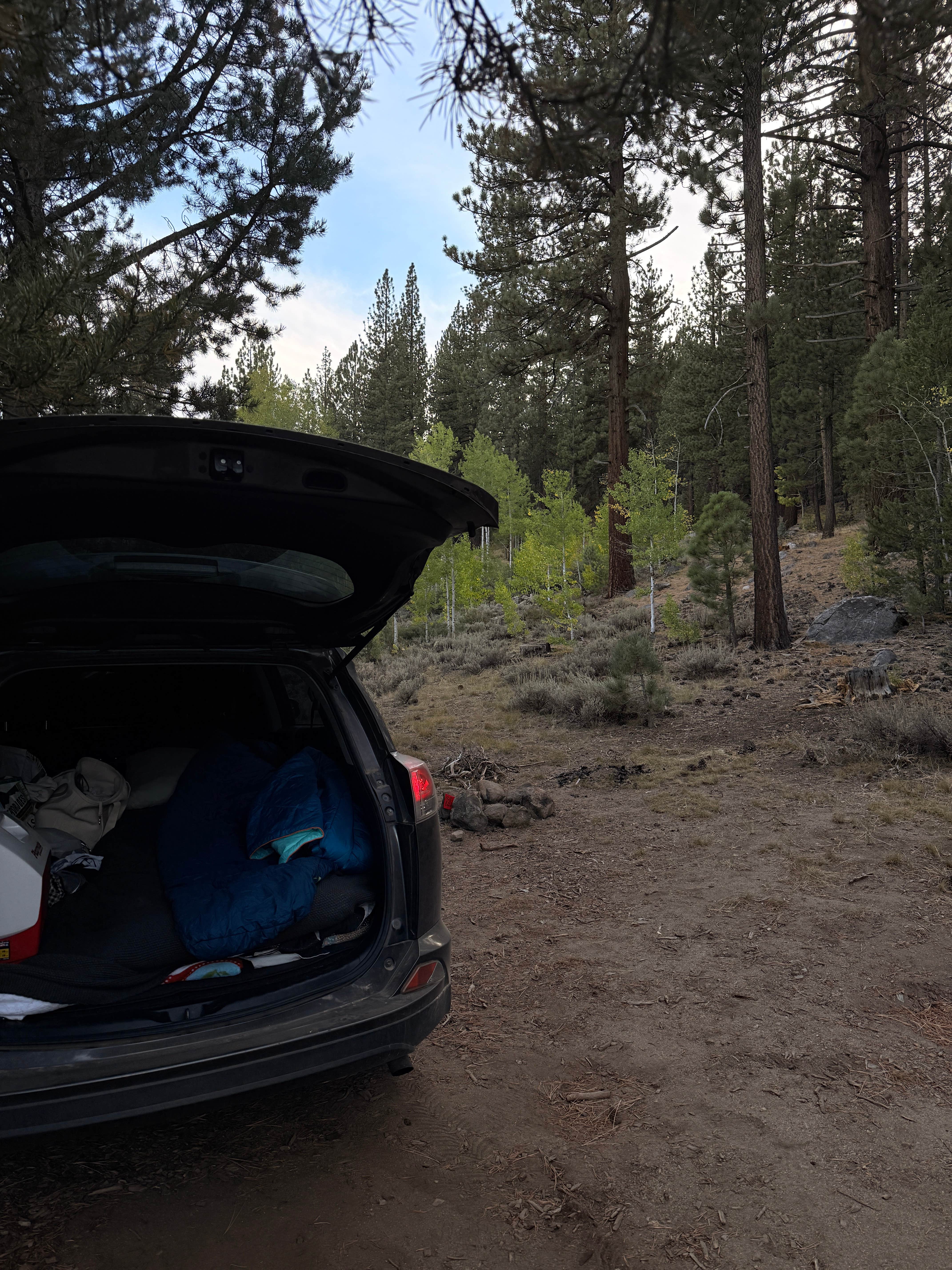 Camper-submitted photo at Scotts Lake Rd Dispersed Camping near Eldorado National Forest