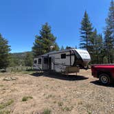 Review photo of Scotts Lake Rd Dispersed Camping by Susan L., June 17, 2024