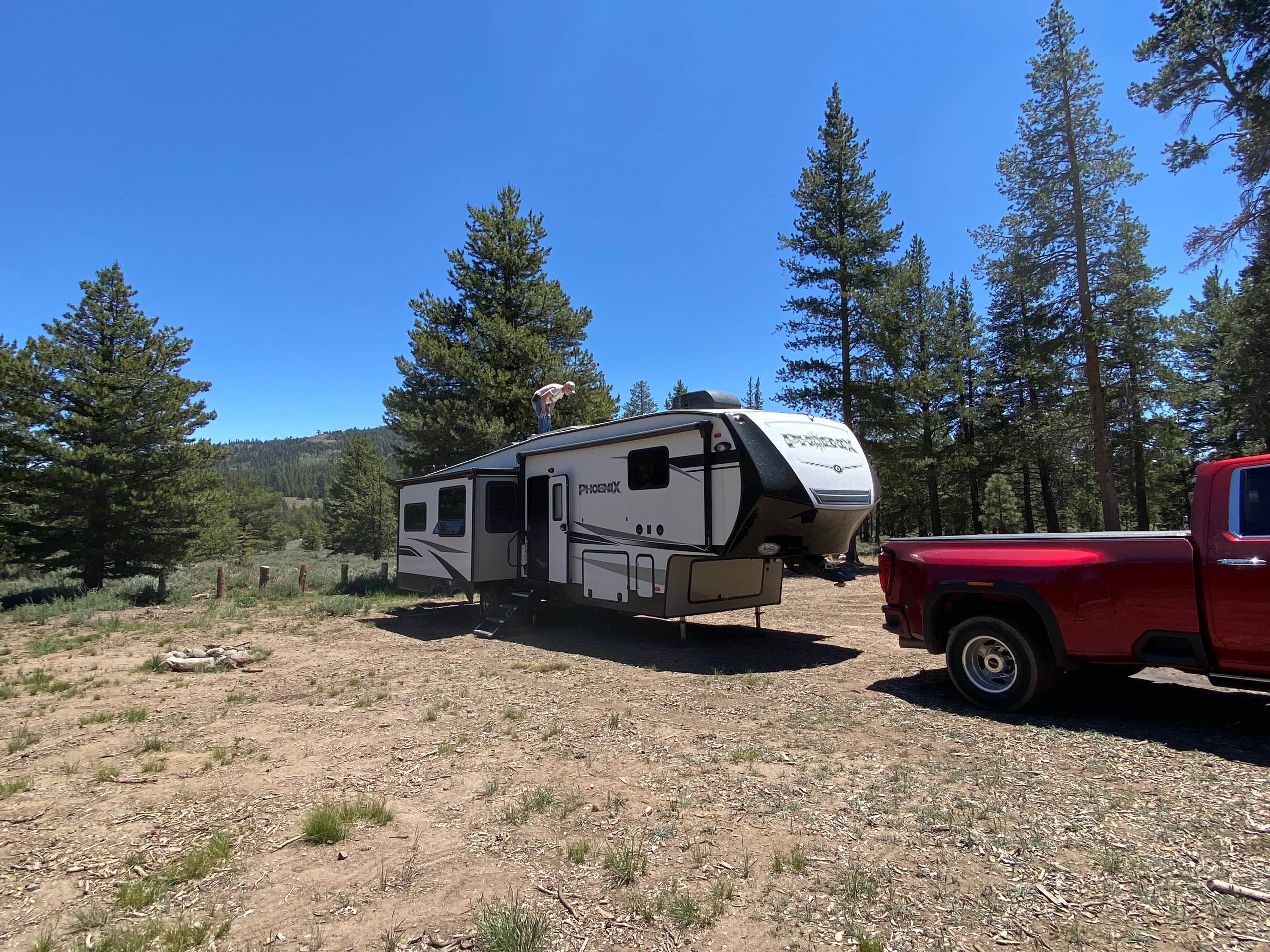 Camper submitted image from Scotts Lake Rd Dispersed Camping - 3