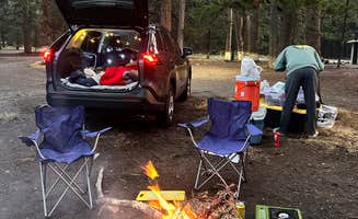 Rajesh N.'s photo at Scotts Lake Rd Dispersed Camping near Gardnerville, NV