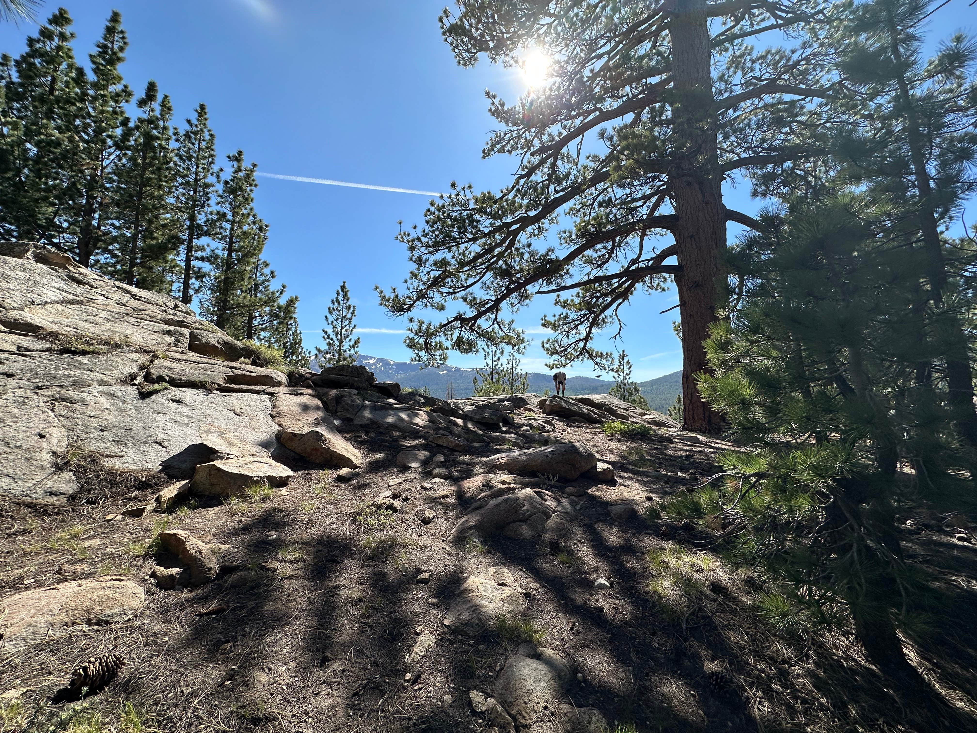 Blair K.'s photo of a dispersed camping area at Scotts Lake Rd Dispersed Camping near Placerville, CA