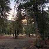 Review photo of Scotts Lake Rd Dispersed Camping by Rajesh N., August 26, 2025