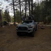 Review photo of Scotts Lake Rd Dispersed Camping by Matthew A., October 27, 2024