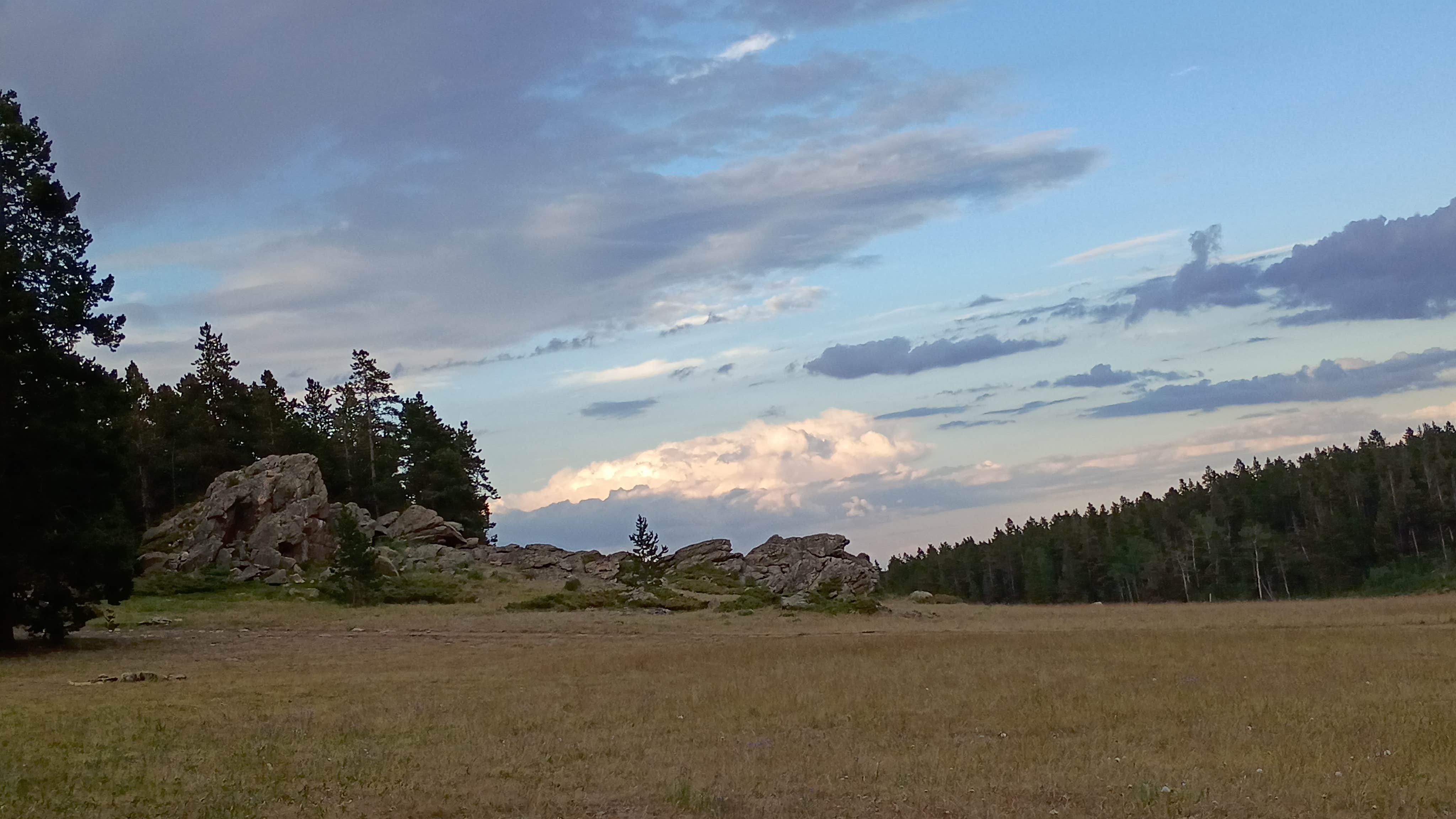 Camper-submitted photo at Dispersed Camping Circle Park Road near Ten Sleep, WY