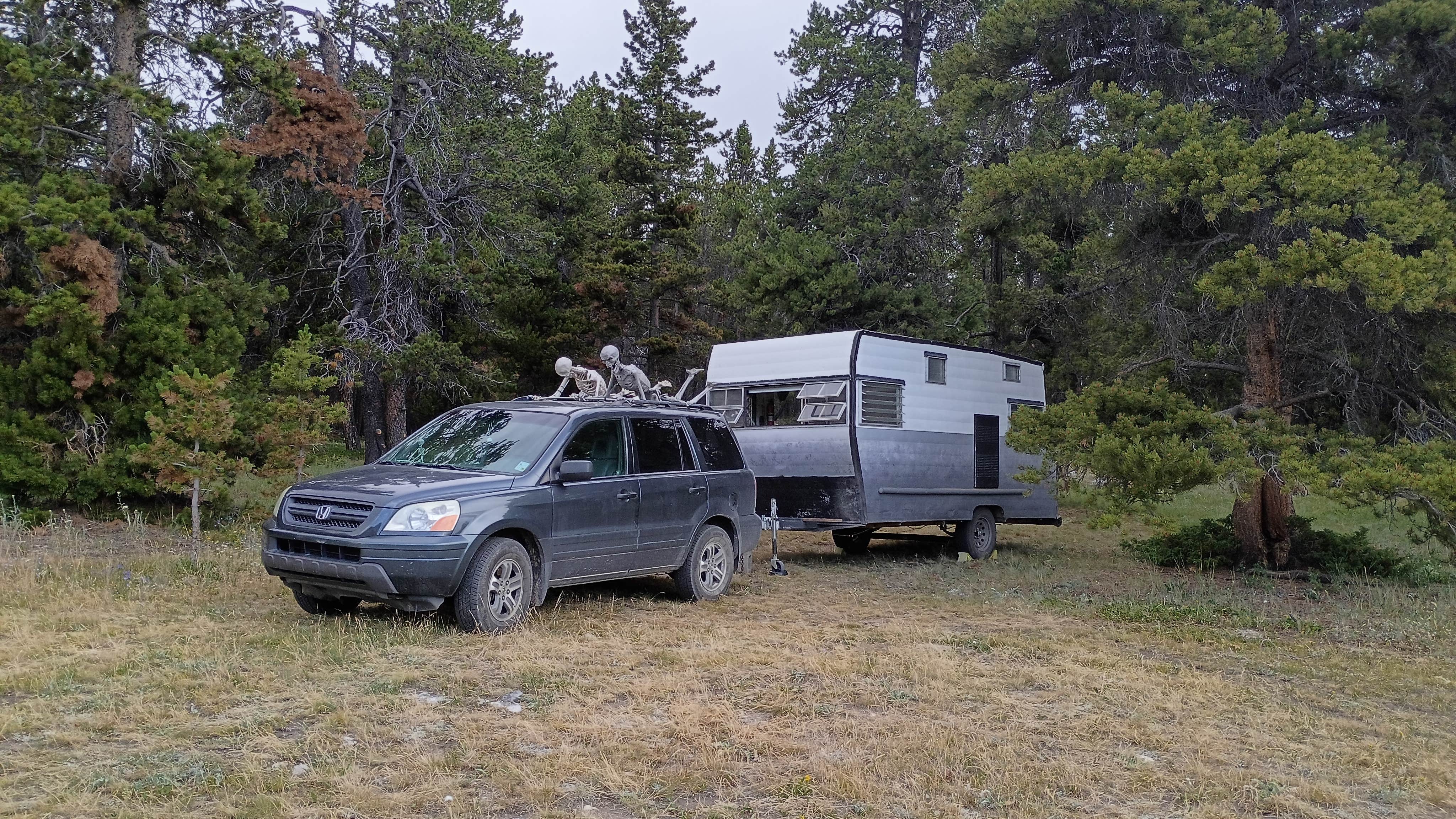 Camper-submitted photo at Dispersed Camping Circle Park Road near Ten Sleep, WY