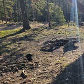 Review photo of Rampart Range Road - Dispersed Camping by johny R., April 11, 2026