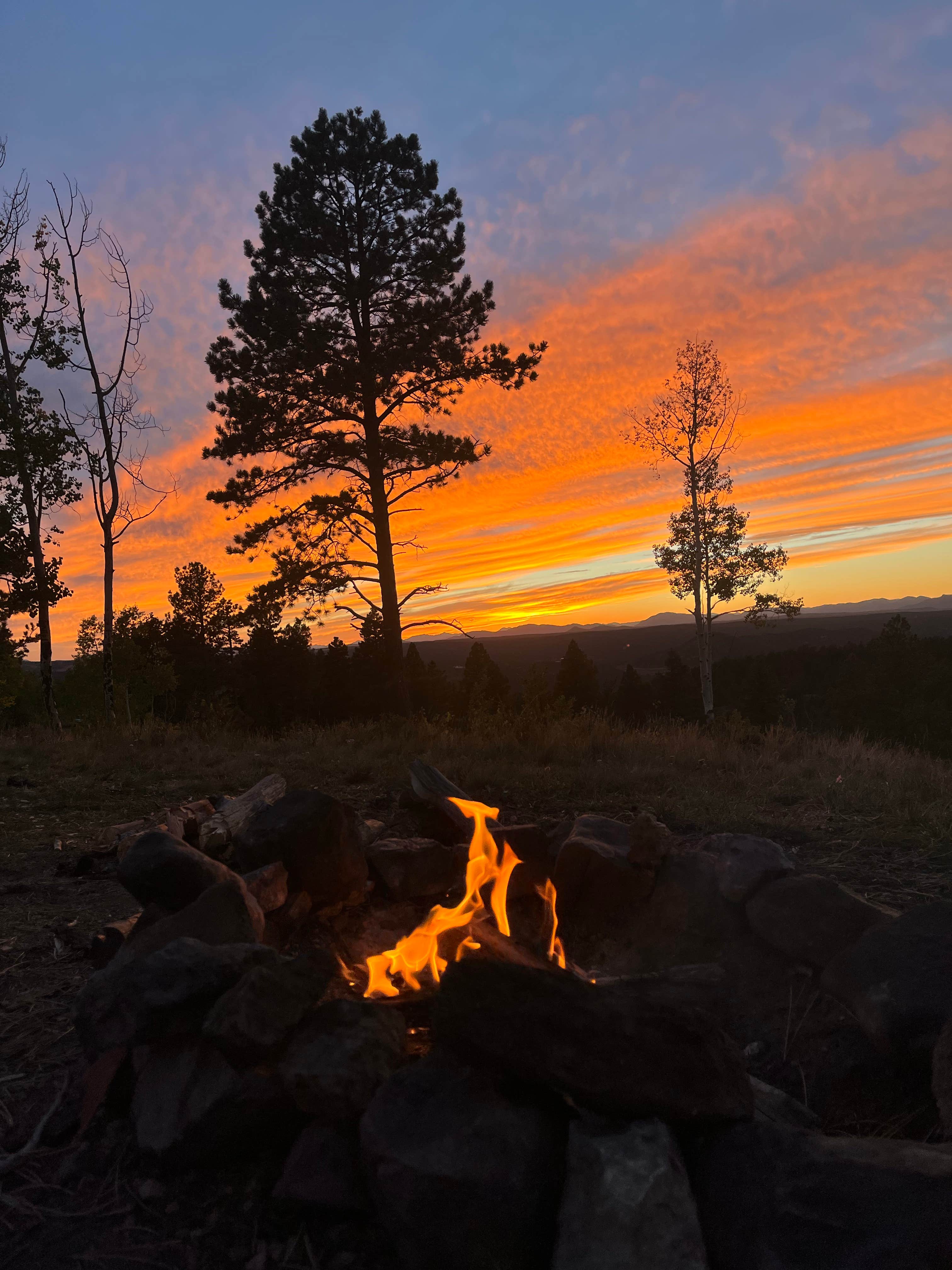 Camper-submitted photo at Rampart Range Road - Dispersed Camping near Lake George, CO