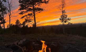 Bryce B.'s photo of a dispersed camping area at Rampart Range Road - Dispersed Camping near Victor, CO