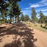 Review photo of Rampart Range Road - Dispersed Camping by Bryce B., September 26, 2024