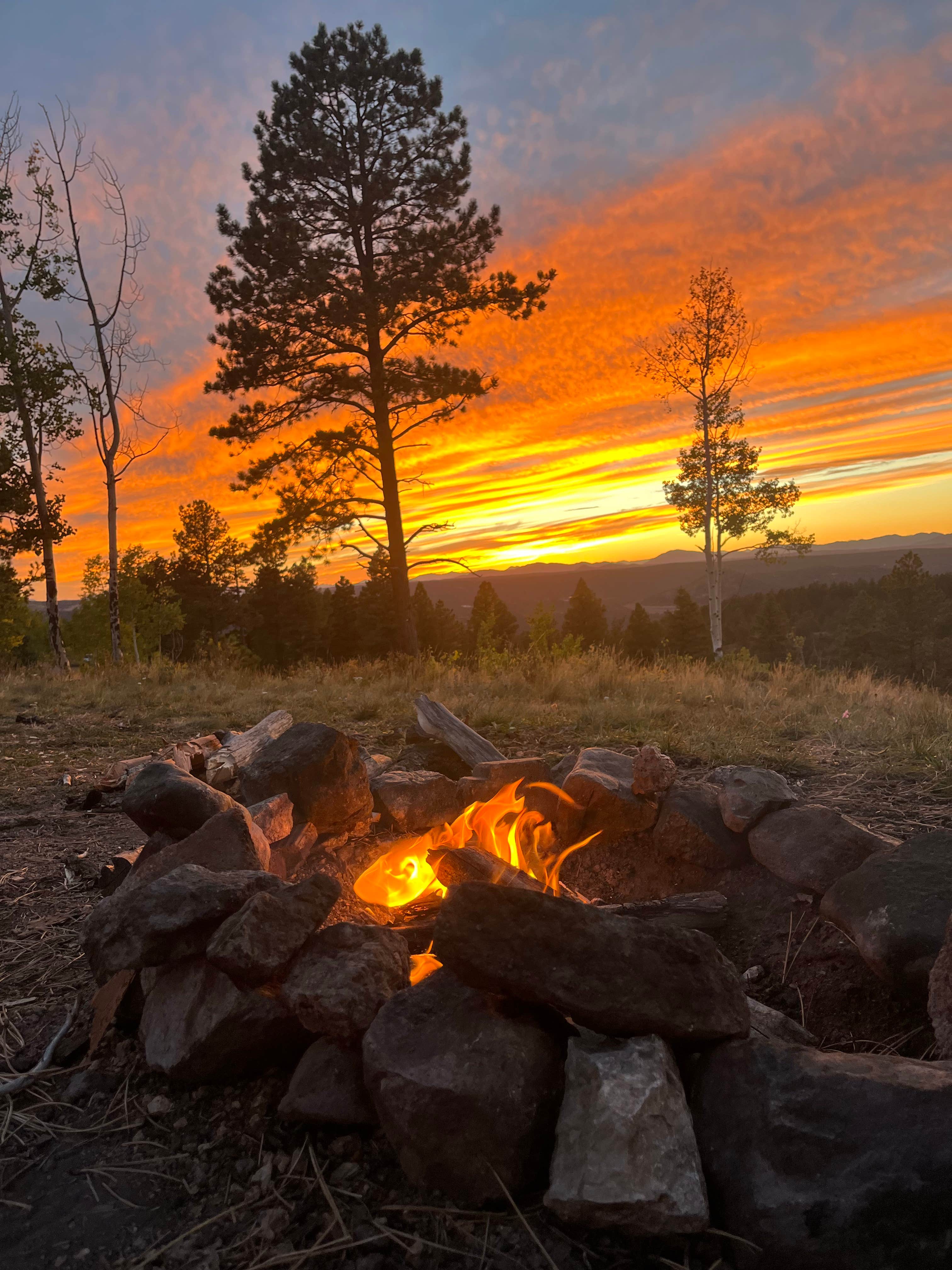 Camper-submitted photo at Rampart Range Road - Dispersed Camping near Palmer Lake, CO