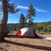 Review photo of Rampart Range Road - Dispersed Camping by Bryce B., September 26, 2024