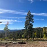 Review photo of Rampart Range Road - Dispersed Camping by Bryce B., September 26, 2024