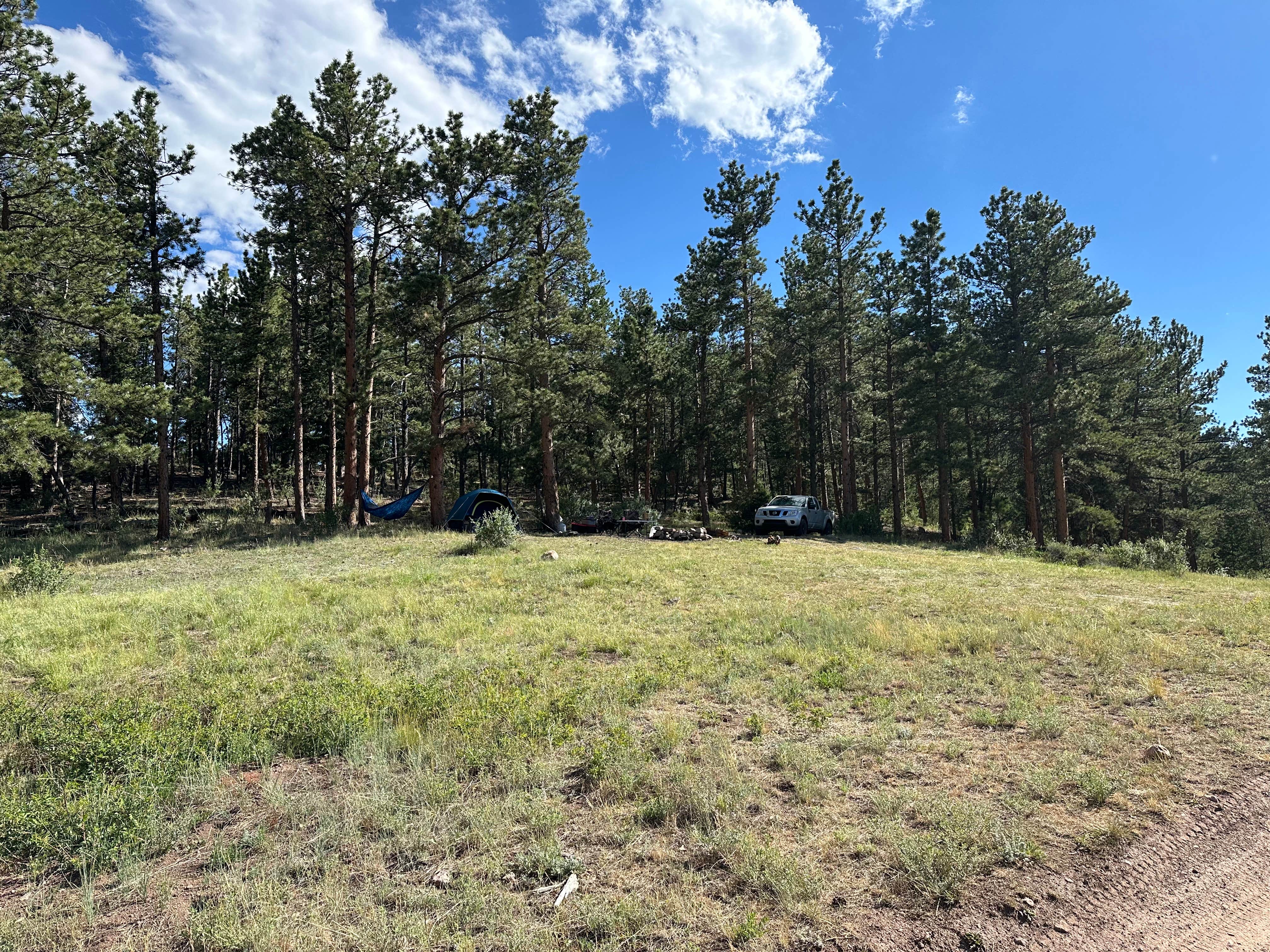 Camper-submitted photo at Arapaho and Roosevelt National Forest Dispersed Camping near Ault, CO