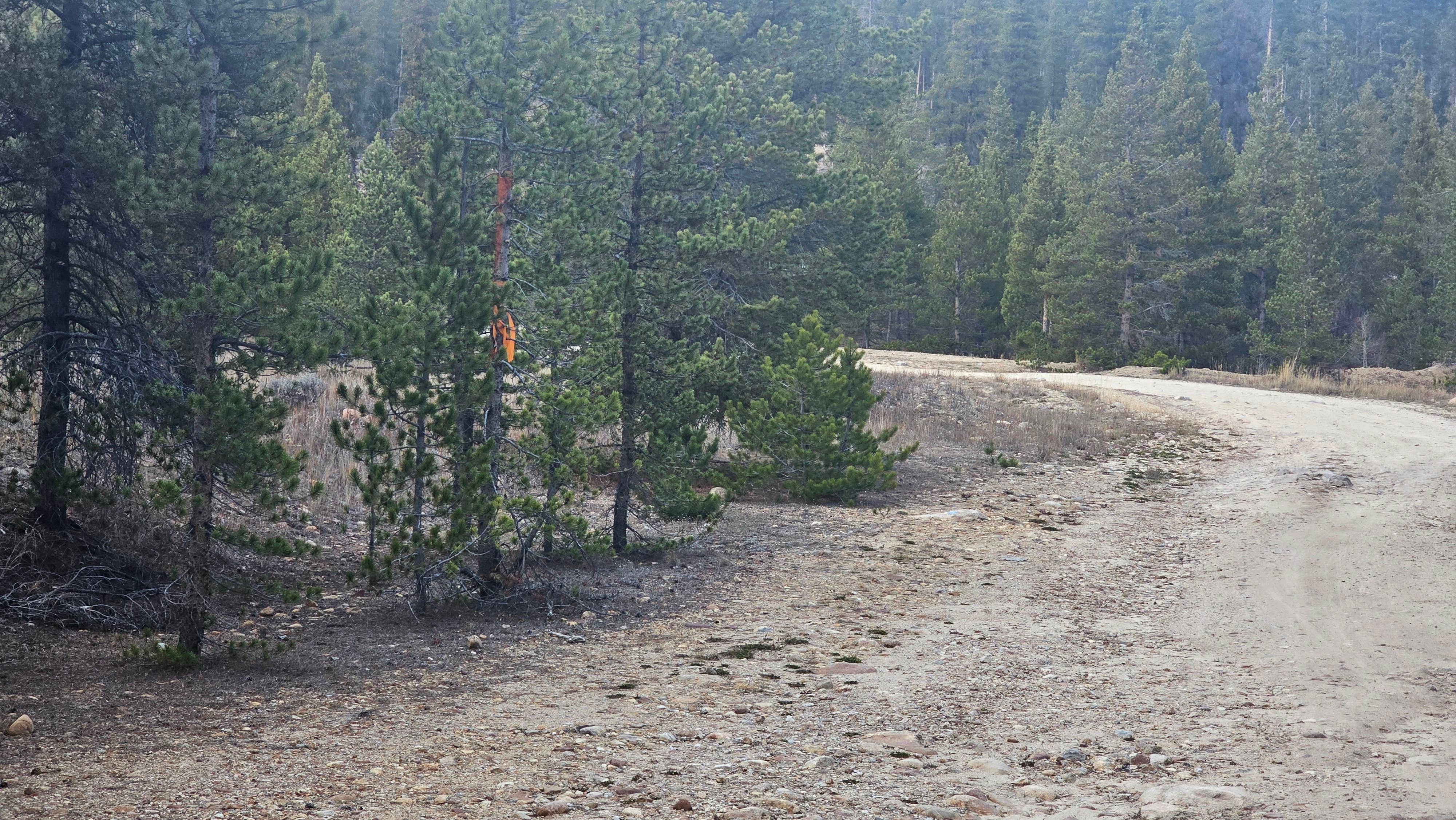 Camper-submitted photo at Dispersed Camping CR 48 near Leadville, CO