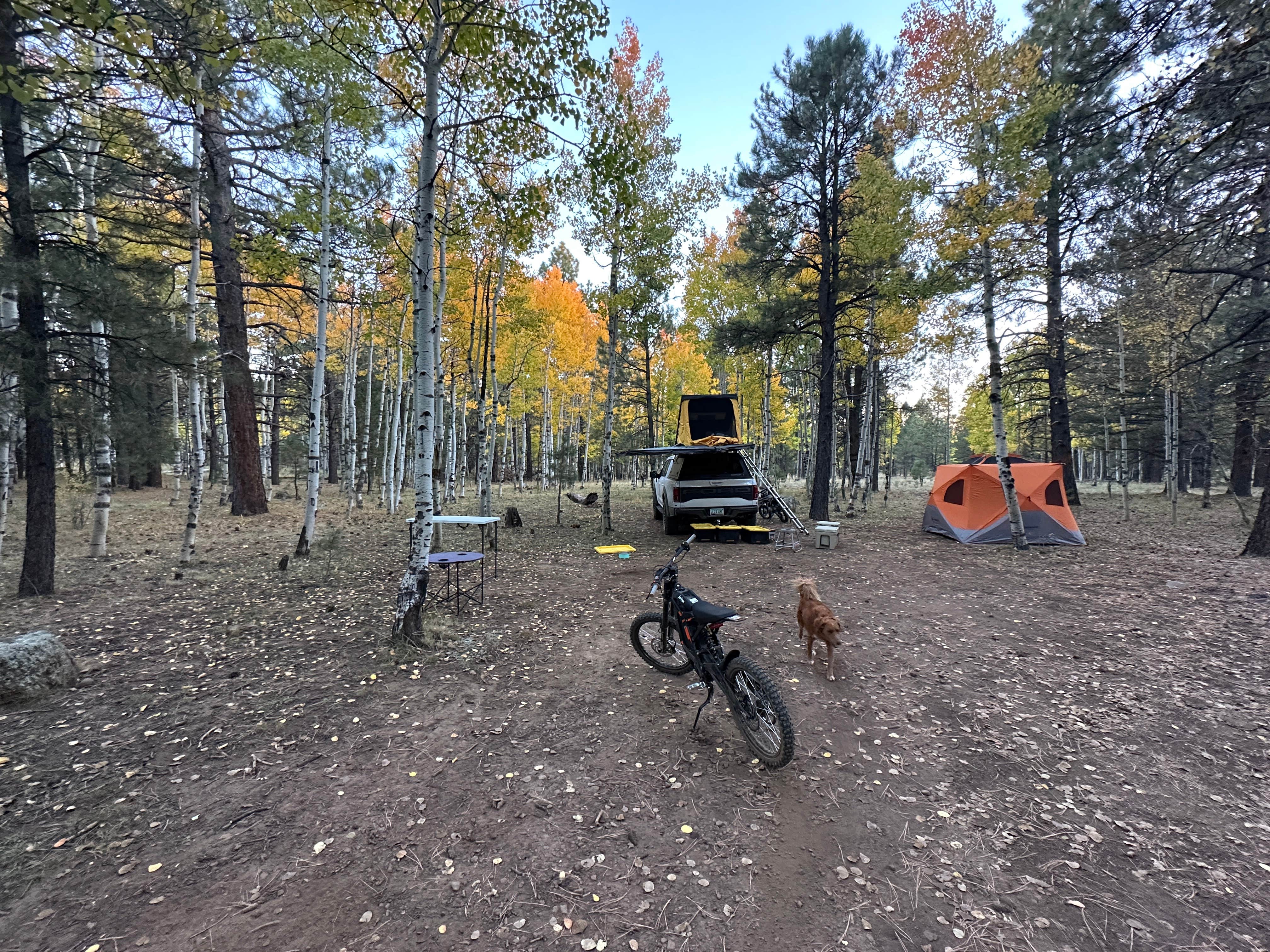 Nicholas D.'s photo of a dispersed camping area at Hart Prairie - Dispersed Camping near Williams, AZ