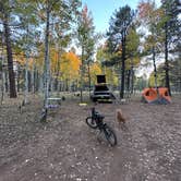 Review photo of Hart Prairie - Dispersed Camping  by Nicholas D., October 20, 2023