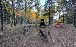 Nicholas D.'s photo at Hart Prairie - Dispersed Camping near Bellemont, AZ