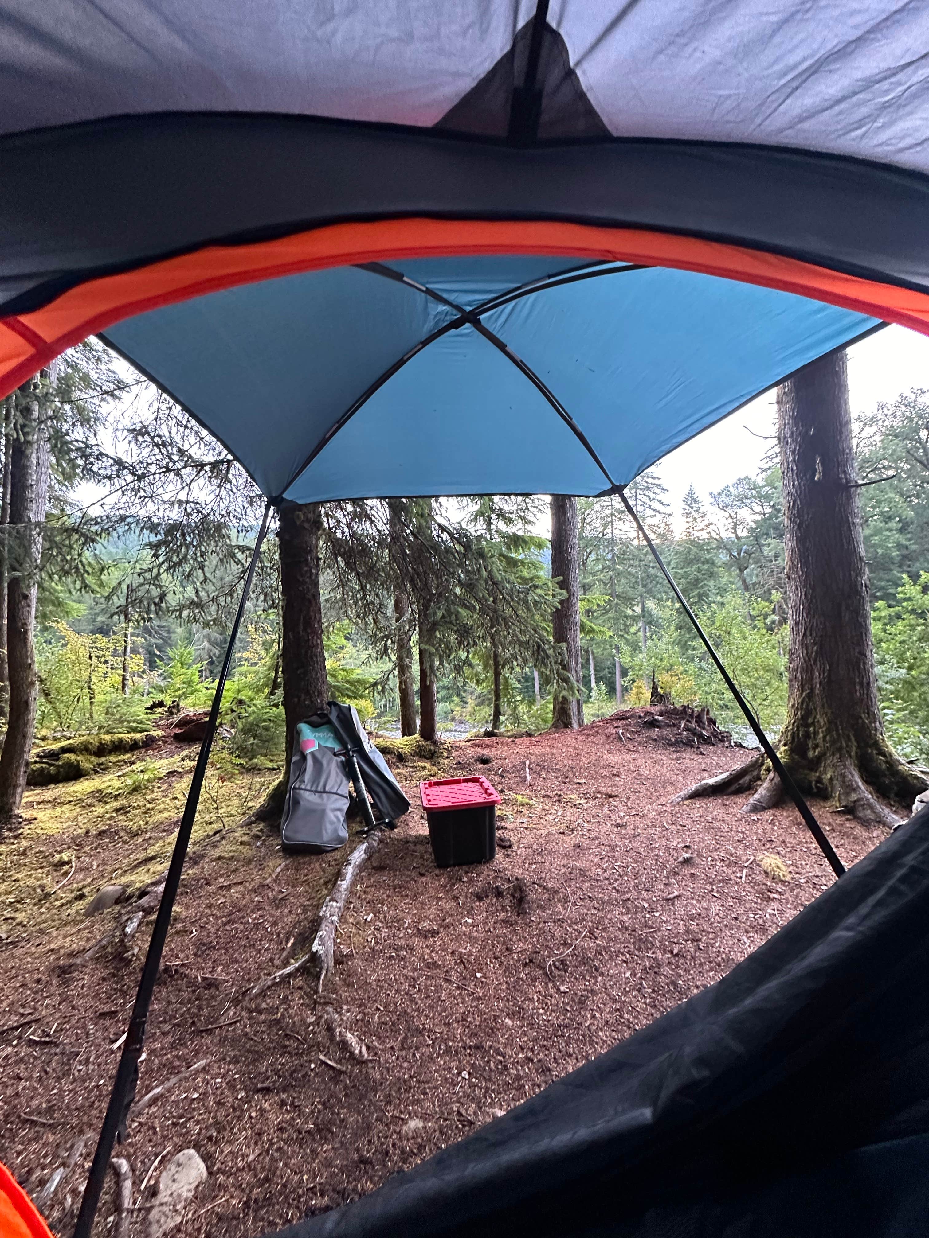 Camper-submitted photo at Forest Road 2918 Dispersed Site near Forks, WA