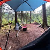 Review photo of Forest Road 2918 Dispersed Site by Ashley A., August 19, 2025