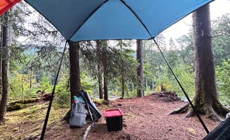 Ashley A.'s photo of a dispersed camping area at Forest Road 2918 Dispersed Site near Olympic National Forest