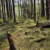 Review photo of Forest Road 2918 Dispersed Site by Ashley A., August 19, 2025