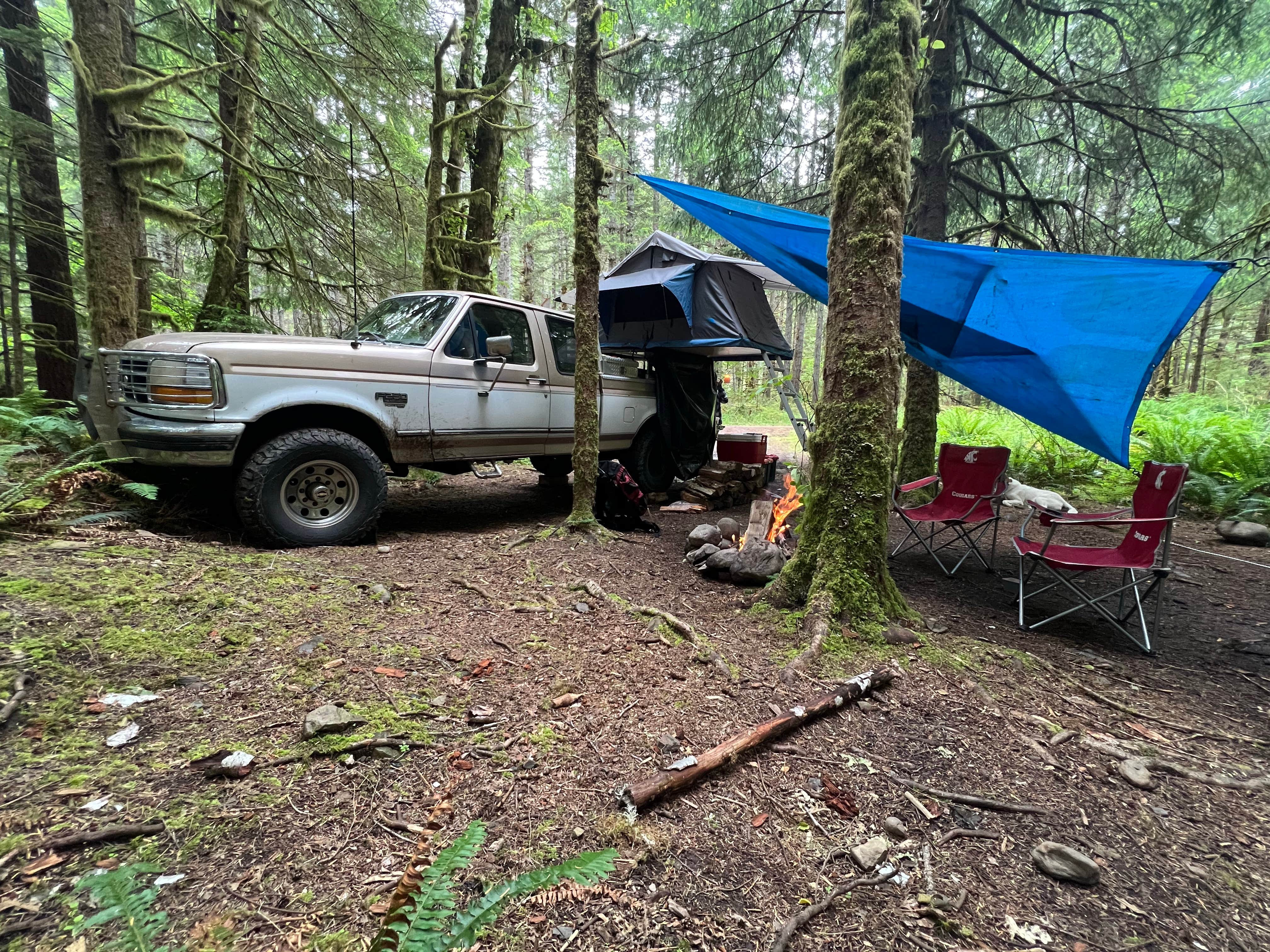 Spencer L.'s photo of a dispersed camping area at Forest Road 2918 Dispersed Site near Forks, WA