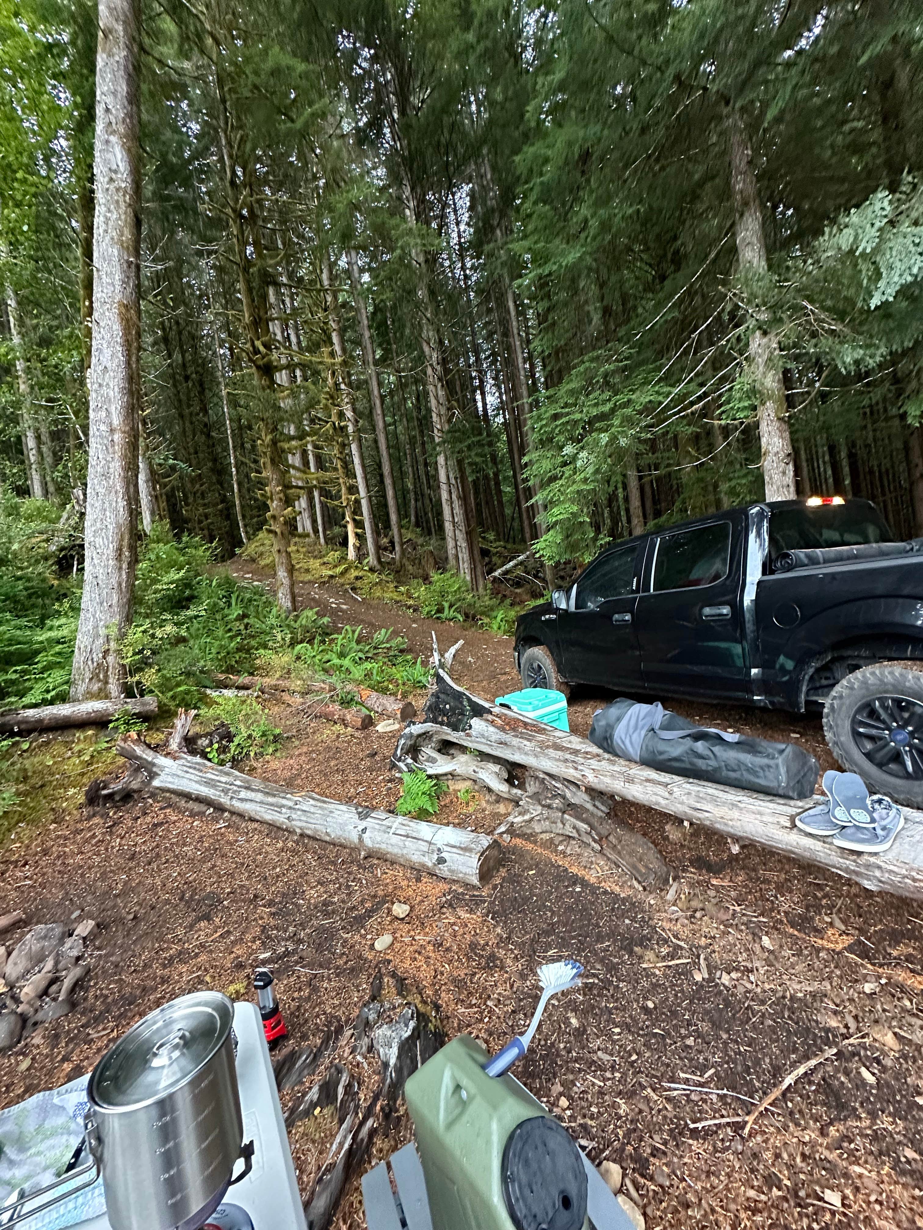 Camper-submitted photo at Forest Road 2918 Dispersed Site near Forks, WA