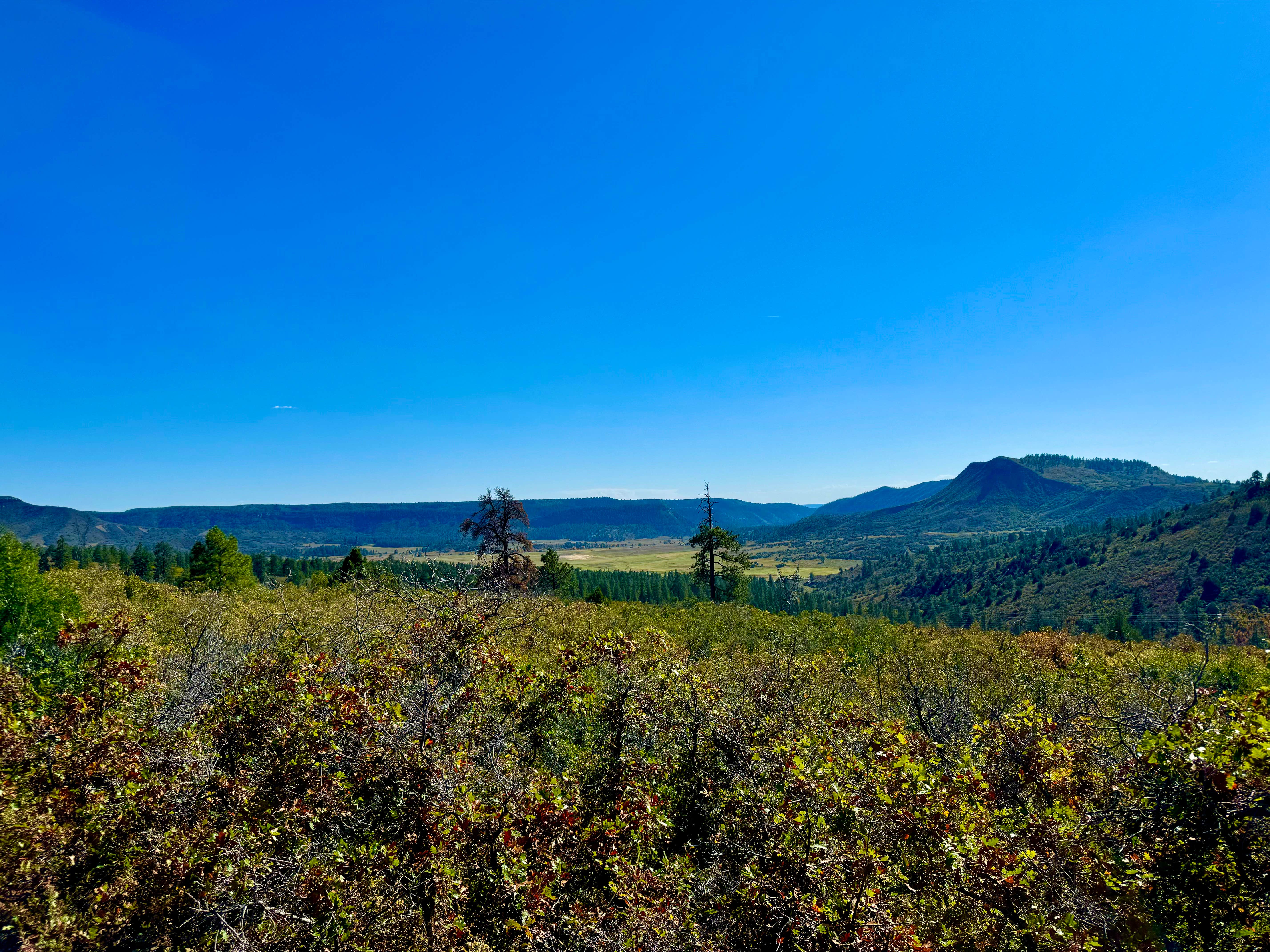 Camper-submitted photo at Madden Peak Road - Dispersed near San Juan National Forest