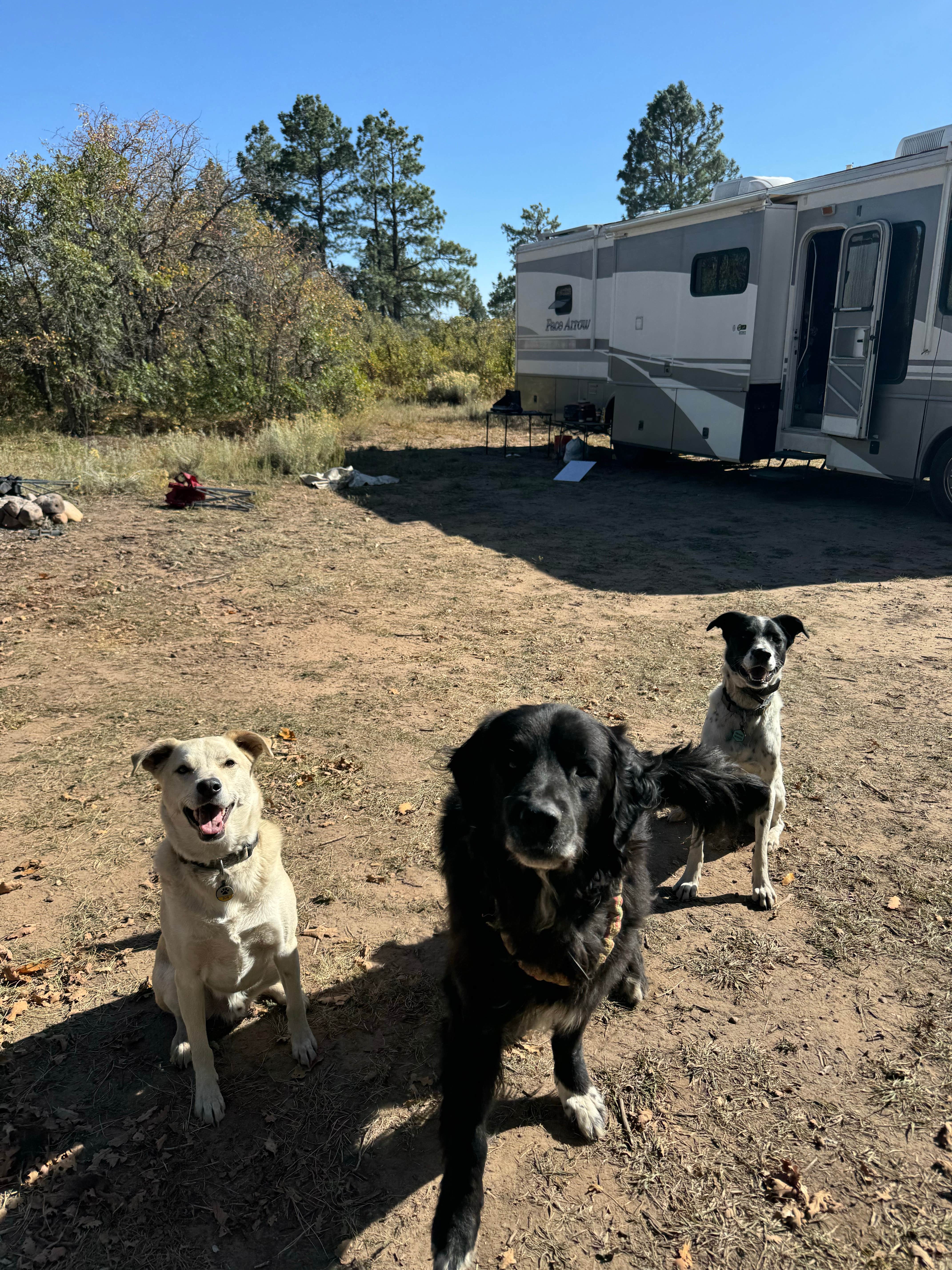 Camper-submitted photo at Madden Peak Road - Dispersed near Shiprock, NM