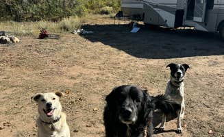 Paulina B.'s photo of camping with pets at Madden Peak Road - Dispersed near San Juan National Forest