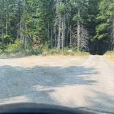 Review photo of Dispersed Camping FS-025 by Darron S., August 15, 2026