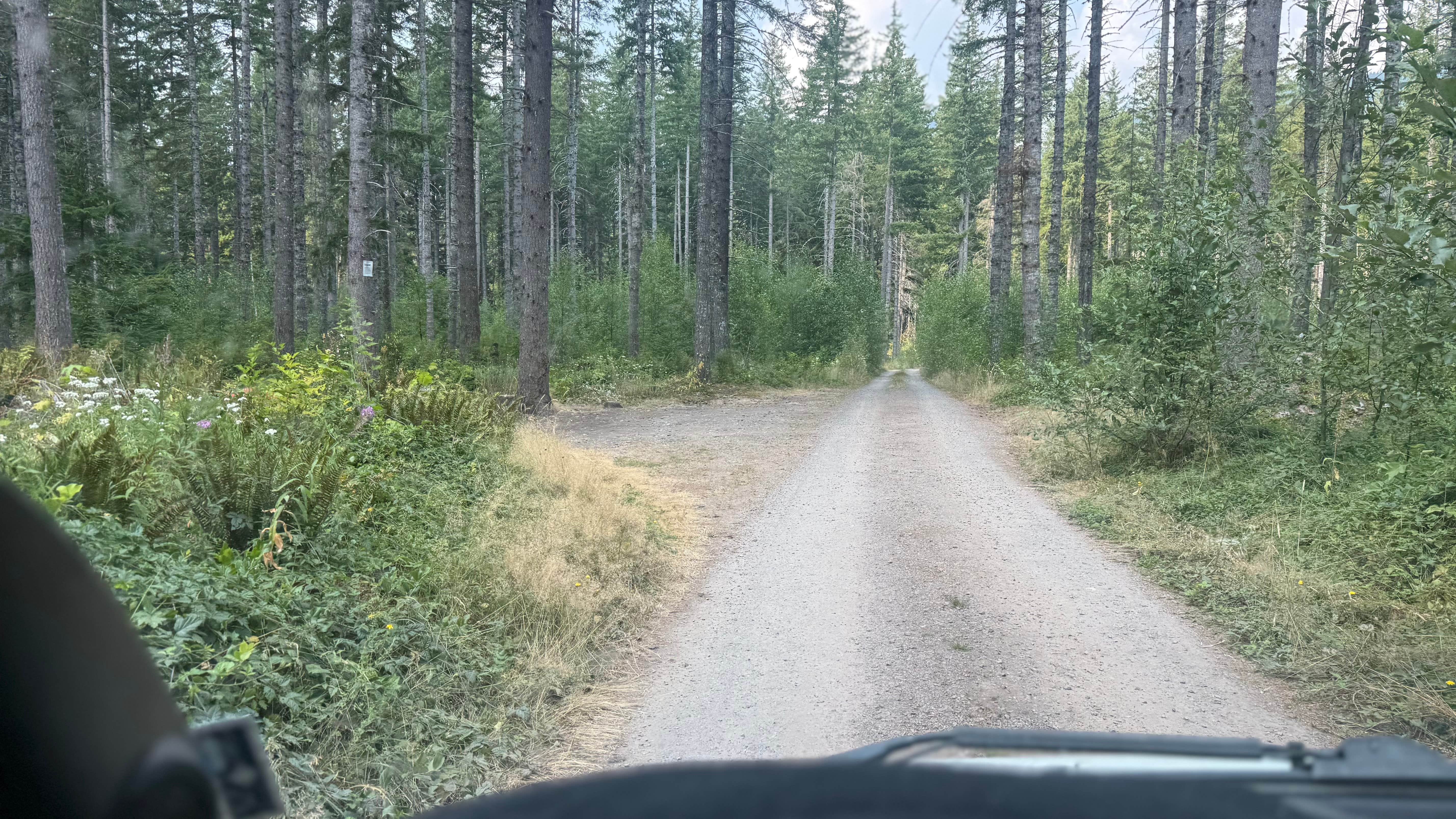 Camper-submitted photo at Dispersed Camping FS-025 near Morton, WA