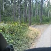 Review photo of Dispersed Camping FS-025 by Darron S., August 15, 2026