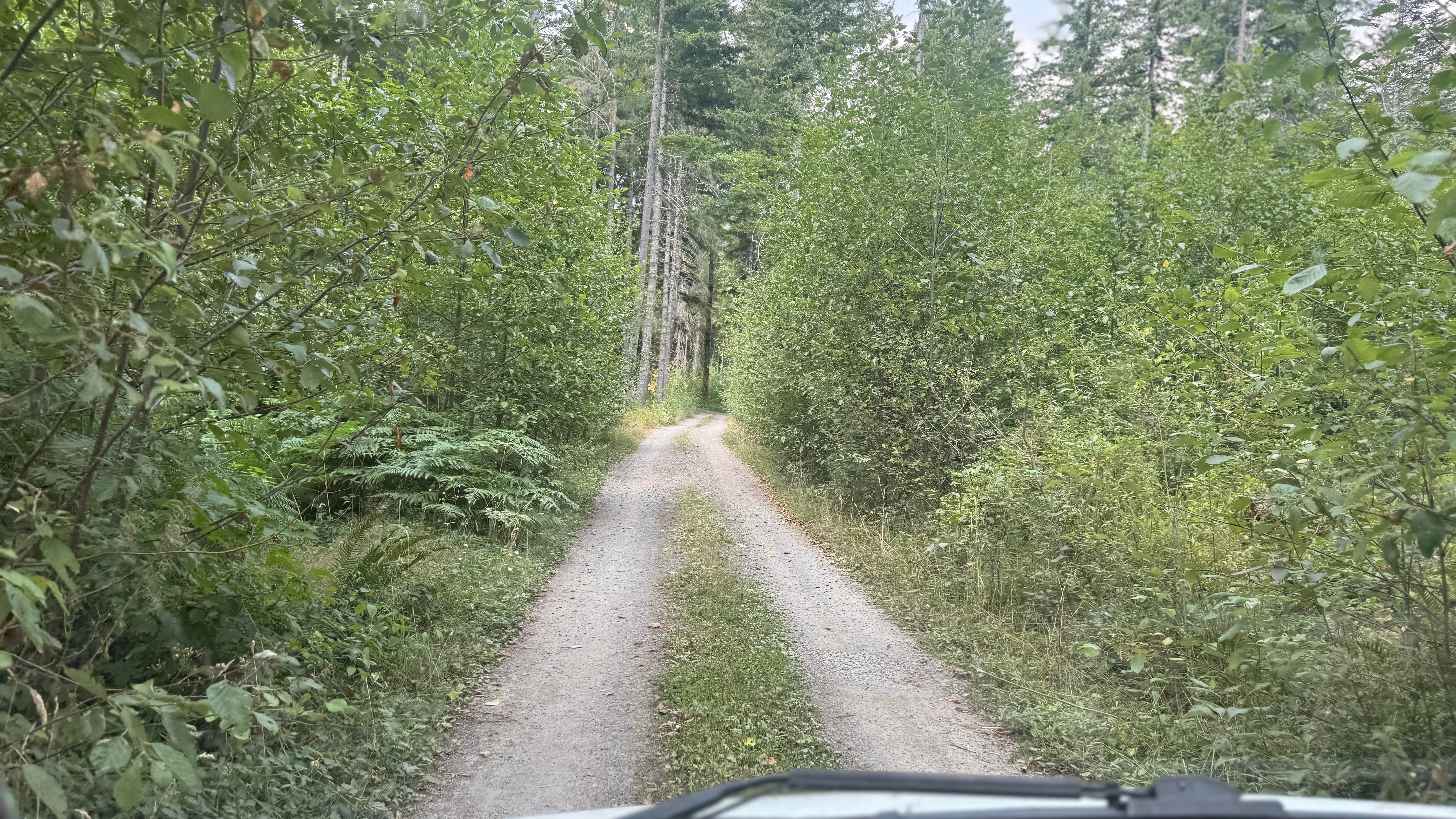 Camper-submitted photo at Dispersed Camping FS-025 near Morton, WA