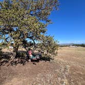 Review photo of Dispersed camping FSR 239 by Michelle V., July 18, 2026