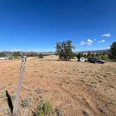 Review photo of Dispersed camping FSR 239 by Michelle V., July 18, 2026