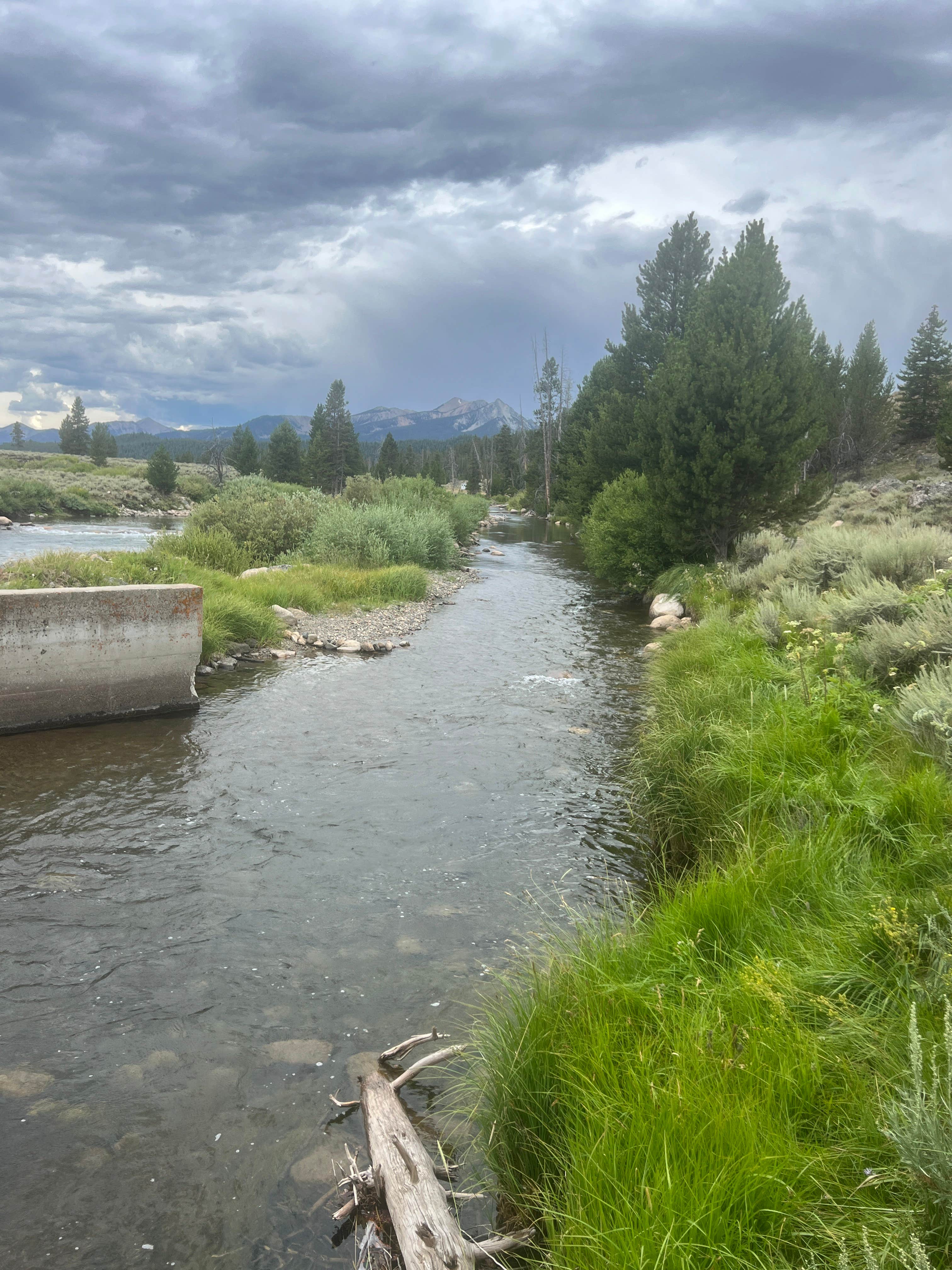 Camper-submitted photo at Salmon River - Dispersed Camping near Sawtooth National Forest