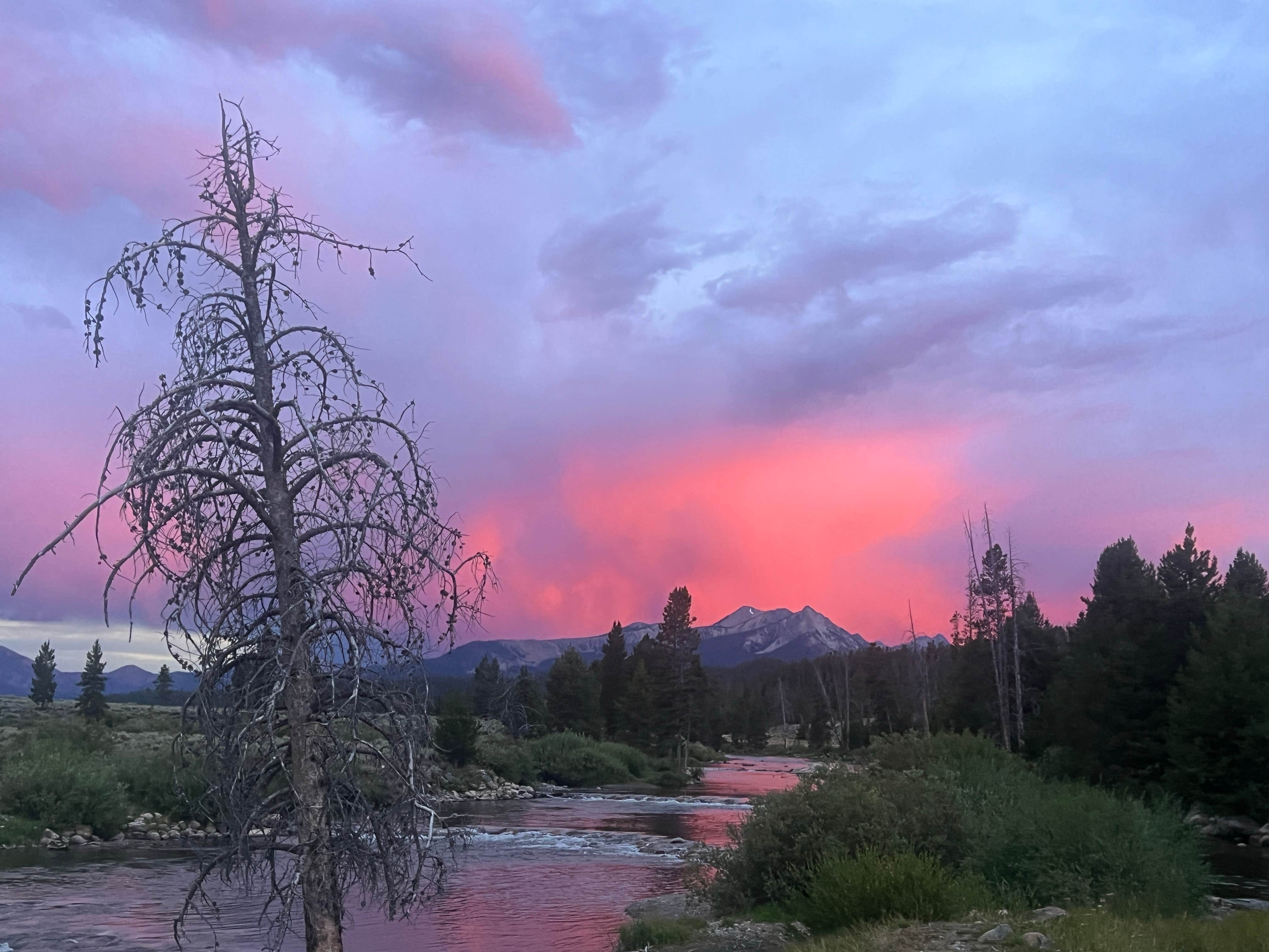 Paige P.'s photo of a dispersed camping area at Salmon River - Dispersed Camping near Sun Valley, ID