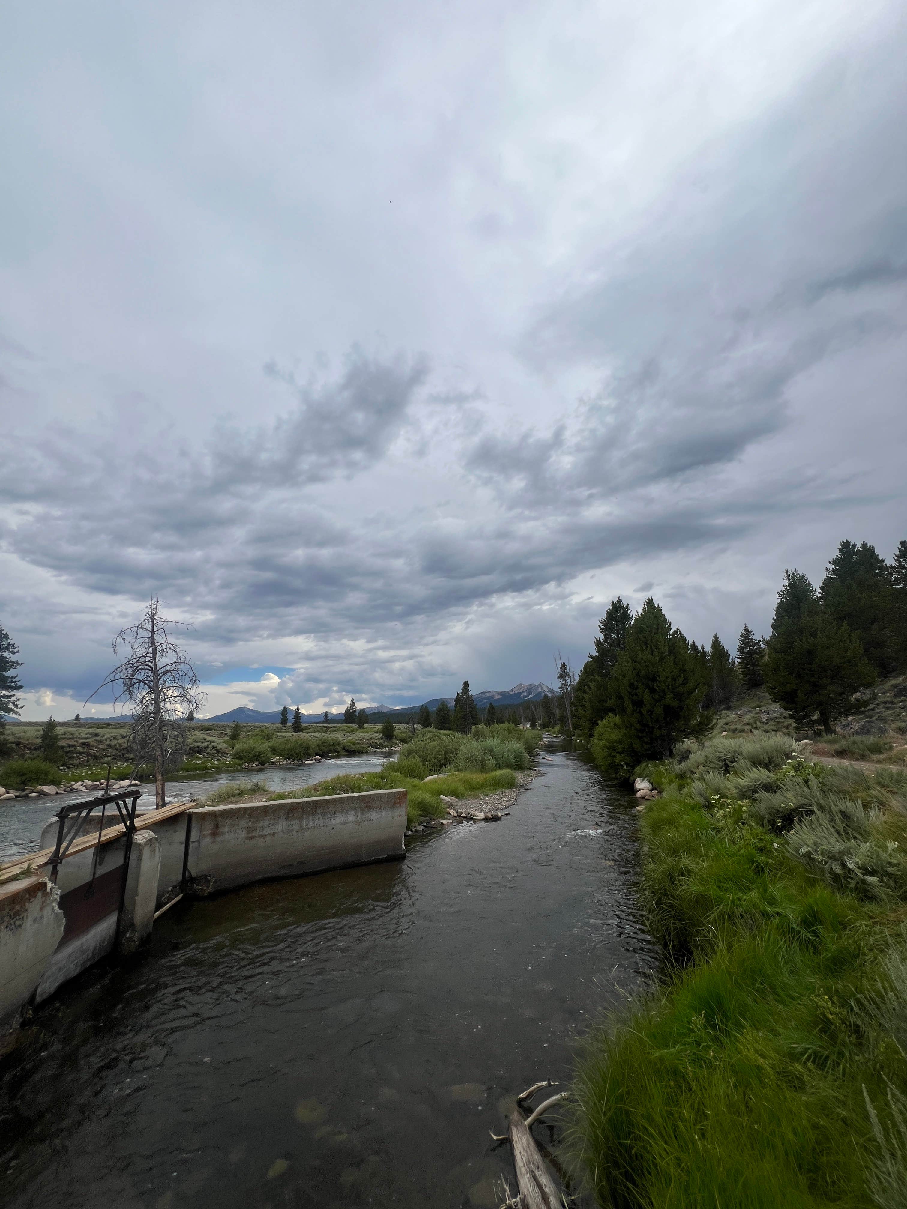 Camper-submitted photo at Salmon River - Dispersed Camping near Sawtooth National Forest