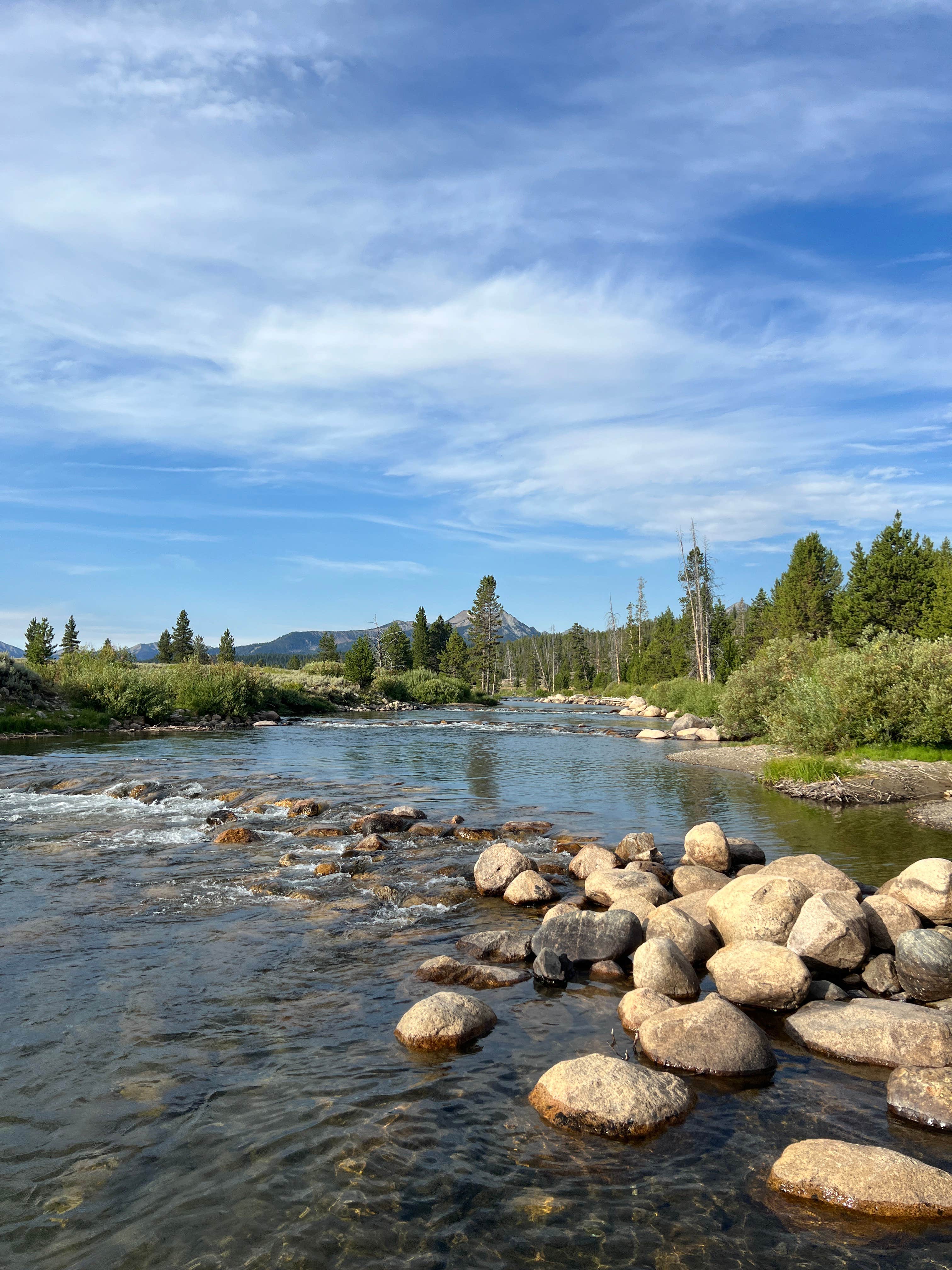 Camper-submitted photo at Salmon River - Dispersed Camping near Sawtooth National Forest