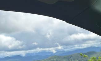 Brook S.'s photo of a dispersed camping area at Elliott State Forest Dispersed near Oakland, OR