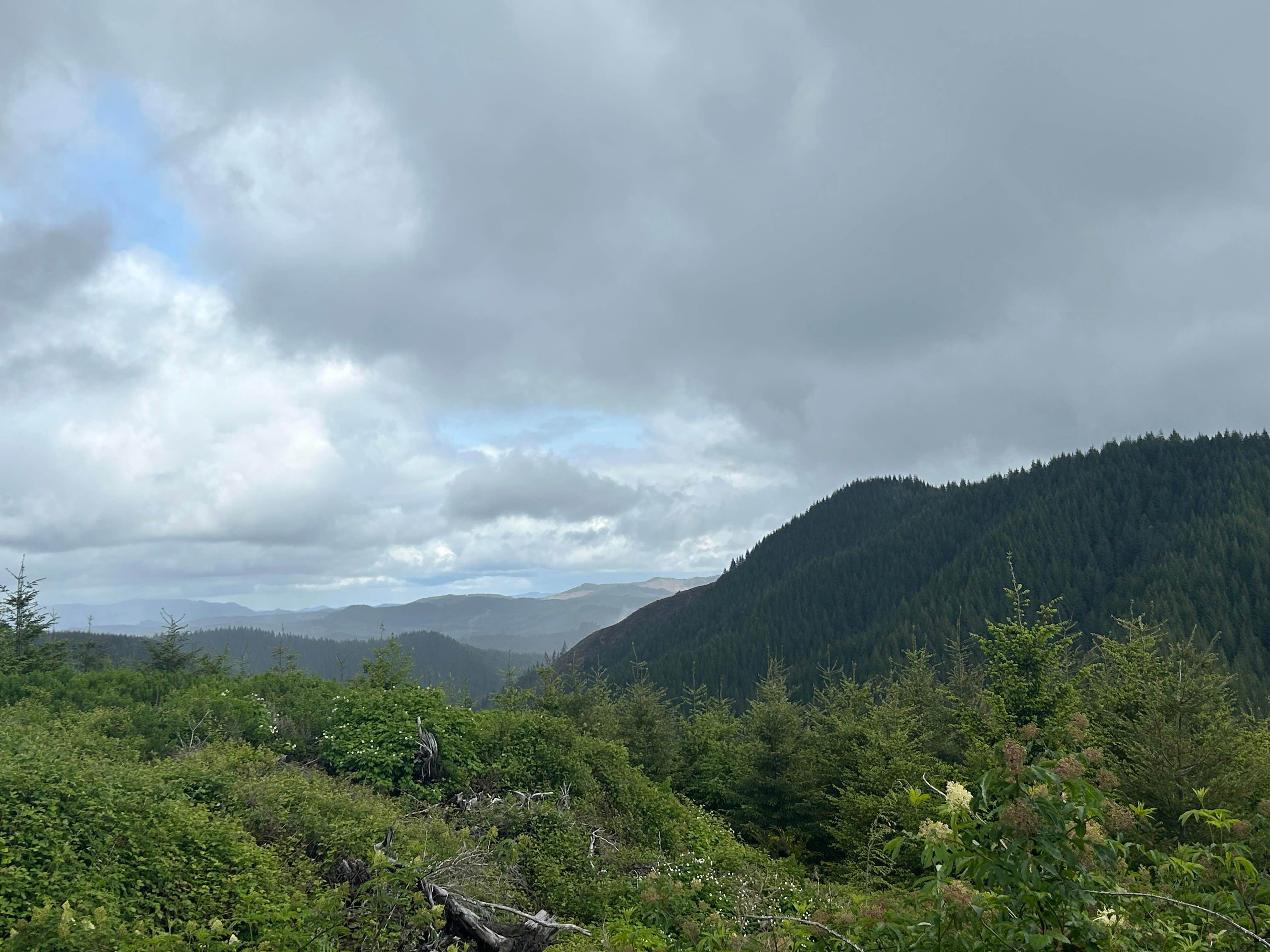 Camper-submitted photo at Elliott State Forest Dispersed near Siuslaw National Forest