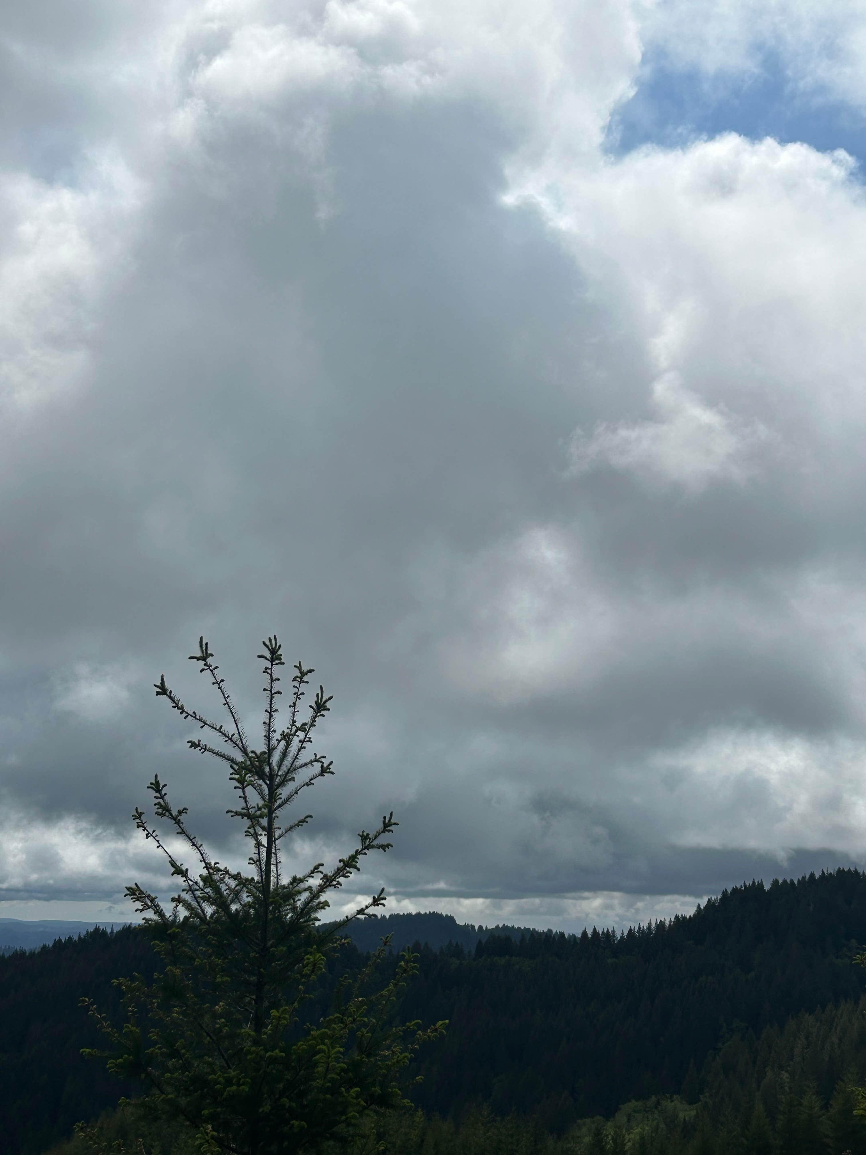 Elliott State Forest Dispersed