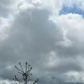 Review photo of Elliott State Forest Dispersed by Brook S., May 20, 2025