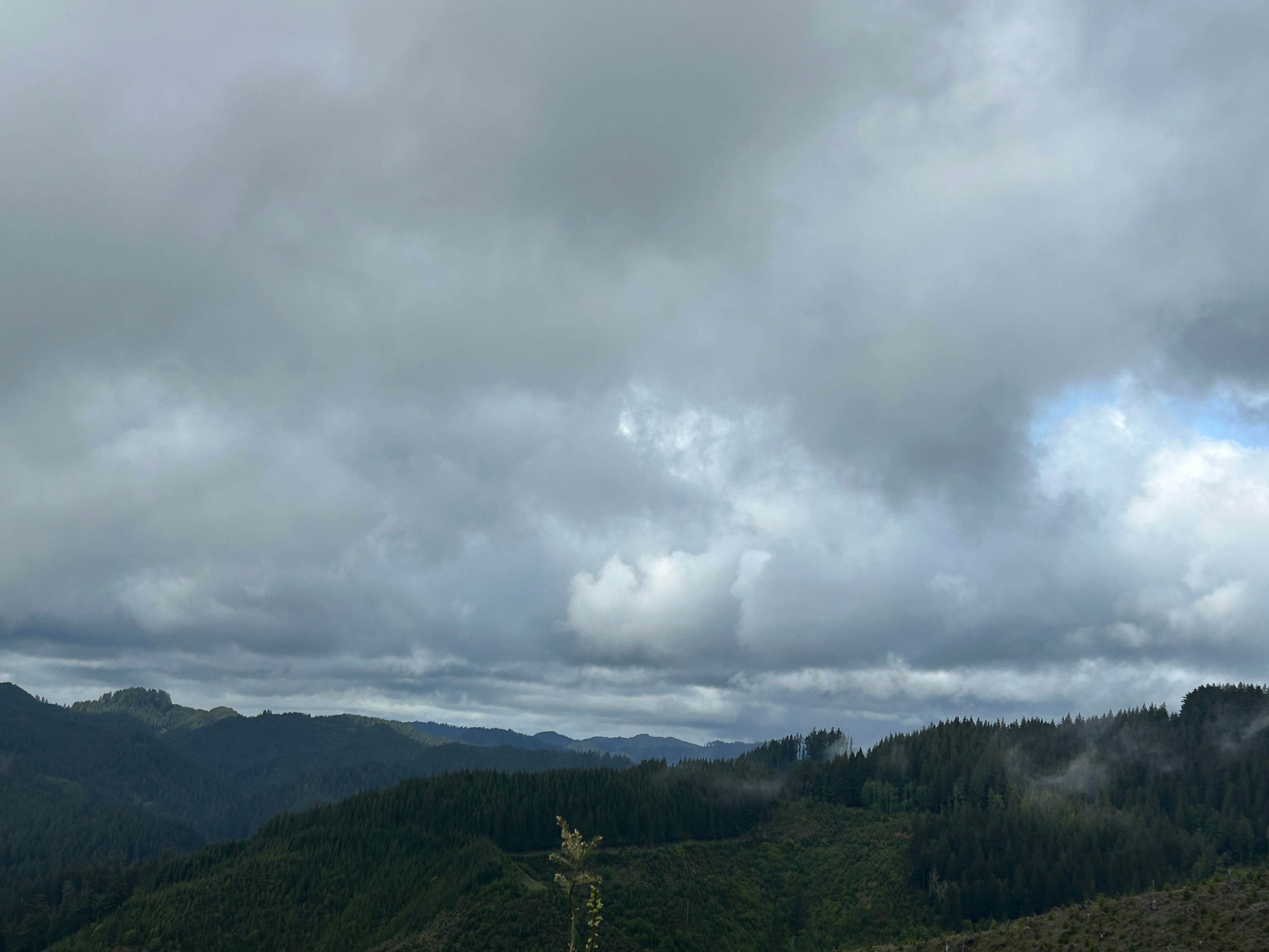 Elliott State Forest Dispersed